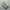 nike air max 97 sean photo 3