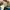 nike air max 97 sean photo 6