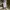 Free City Camo Ripstop Fabric Relaxed Pants photo 3