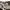 Free City Camo Ripstop Fabric Relaxed Pants photo 2