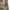 Free City Camo Ripstop Fabric Relaxed Pants photo 5