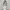 Parka Crop Earth Music & Ecology photo 2