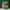 The Legend of Zelda (A Link to the Past) by Shotaro Ishinomo photo 6