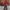 00 sACTIVE JACKET GEAR FOR SPORTS photo 1