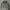 y2k grey crop top with longsleeve  photo 1