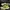 Adidas Ultra Boost 21 Running  photo 2