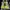 Adidas Ultra Boost 21 Running  photo 4