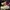 Nike Air Force 1 Low '07 LV8 1 Sail Men's photo 1