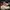 Nike Air Force 1 Low '07 LV8 1 Sail Men's photo 2