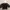 H&M Minimalist Crop top Wanita black photo 1