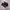 Nike Air Max Tn Plus Triple Black photo 2