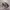 Salomon XT-6 S/LAB Beluga Pewter Dull Gold