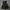 black mini dress nude the label photo 1