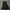 Black Mini Dress Nude The Label