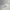 Schott NYC White Inner Military Thermal Tee (L)