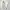 OAMC authentic, sepatu Italy ggdb Ferragamo common project  photo 4