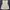 white mini dress coquettes  photo 1