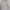 Hollister Streetwear Casual Hoody Pria white photo 4