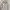Hollister Streetwear Casual Hoody Pria White
