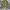 Flannel Plaid Semi Veterano Yellow photo 4