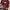 Knitwear Cable Maroon Lanzi