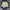 Stussy pants tactical vest puffer jacket allstar photo 9
