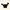 H&M Casual Crop top Wanita black photo 1