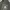 Vintage Harley Davidson Y2K Hoodie photo 5