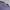 Vivastudio Purple Tee photo 6