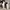 Common projects size 42 photo 3