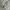 National Geographic Fullzip photo 4