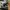 Nike Air Jordan 1 Low photo 1