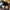 Nike Air Jordan 1 Low photo 3