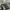 Under Armour Casual Short Pria navy black photo 4