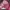 Converse Casual Sneakers Kids pink photo 5