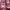 Converse Casual Sneakers Kids pink photo 2