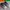 Asics Gel Resolution 9 EU40,5 photo 3