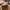Vans EU43 photo 5