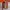 Vans EU43 photo 6