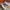 Converse Chuck Taylor All Star EU36 photo 2