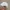 Clove Hat White Colour Unisex Hat photo 2