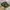 JUNGLE HAT FIELD CAMO ARMY OG photo 1