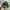JUNGLE HAT FIELD CAMO ARMY OG photo 3