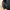 ILCORSO BLACK NYLON CARGO SHORT PANTS | CELANA PENDEK | CLWM photo 6