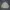 Dunlop Puffer Jacket photo 2