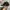 CAP HAT NEW ERA NYC photo 4