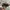 SNAPBACK HAT PARENTAL ADVISORY PREMIER CAMO