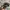 SNAPBACK HAT PARENTAL ADVISORY PREMIER CAMO photo 5