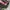SNAPBACK HAT PARENTAL ADVISORY PREMIER CAMO photo 6