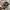 SNAPBACK HAT PARENTAL ADVISORY PREMIER CAMO photo 1